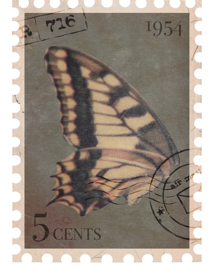 Vintage Postage Stamp with Butterfly